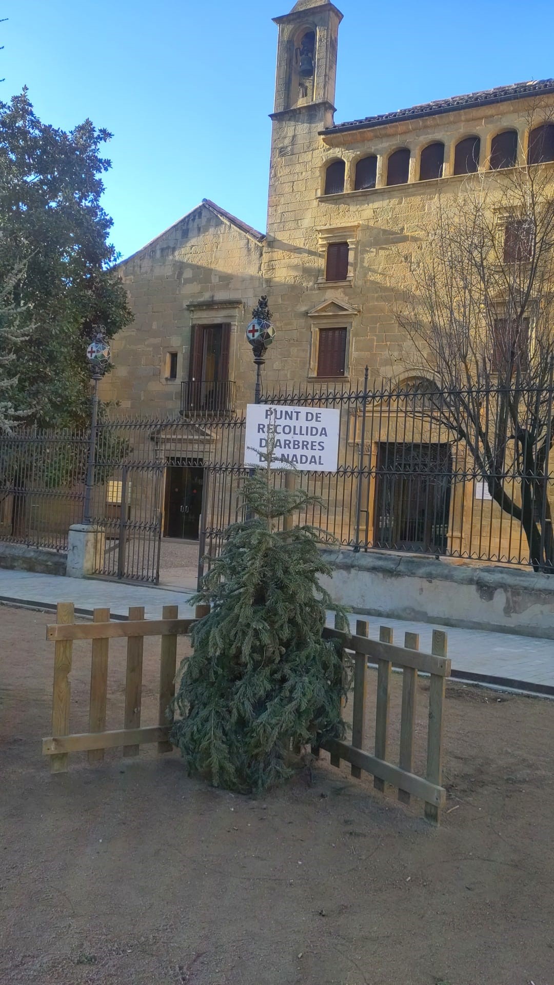 Punt de recollida arbres de Nadal